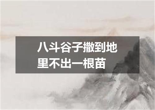 八斗谷子撒到地里不出一根苗