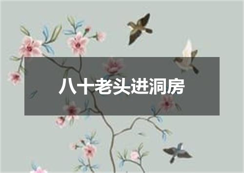 八十老头进洞房