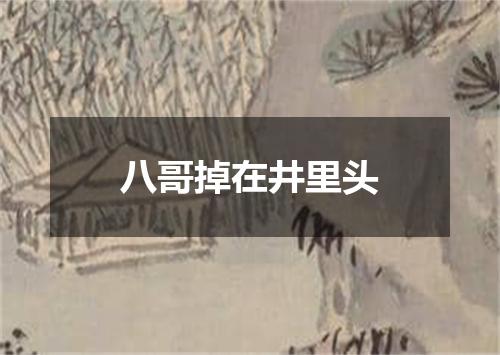 八哥掉在井里头