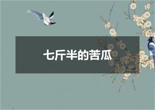 七斤半的苦瓜