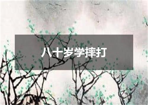 八十岁学摔打