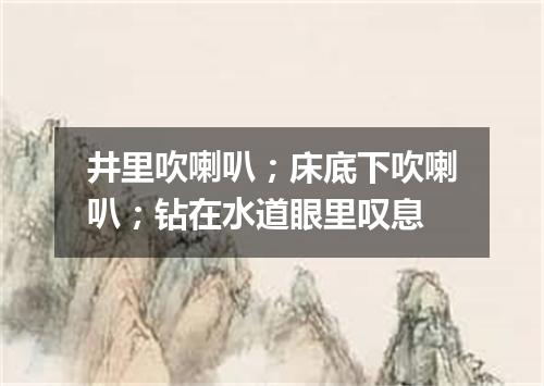井里吹喇叭；床底下吹喇叭；钻在水道眼里叹息