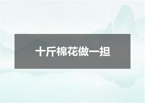 十斤棉花做一担