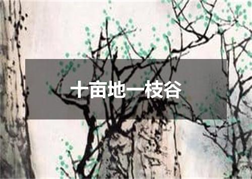 十亩地一枝谷