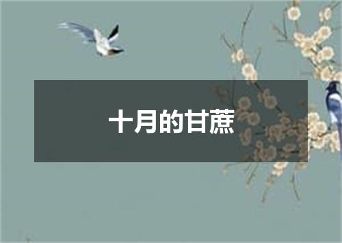 十月的甘蔗