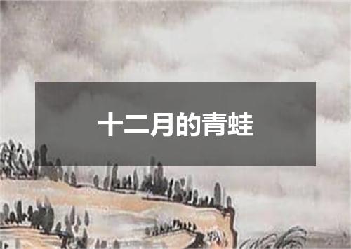 十二月的青蛙