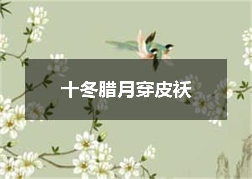 十冬腊月穿皮袄