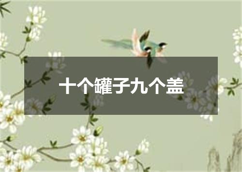 十个罐子九个盖