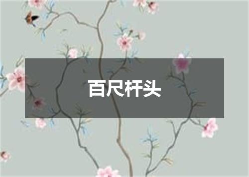 百尺杆头