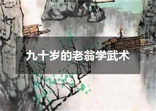 九十岁的老翁学武术