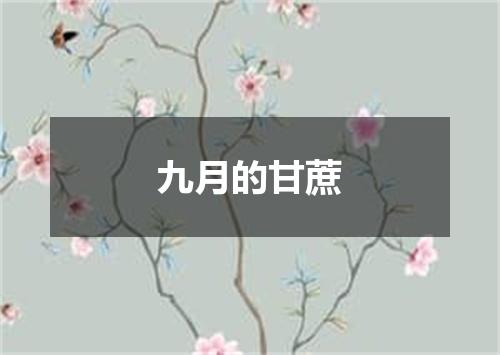 九月的甘蔗
