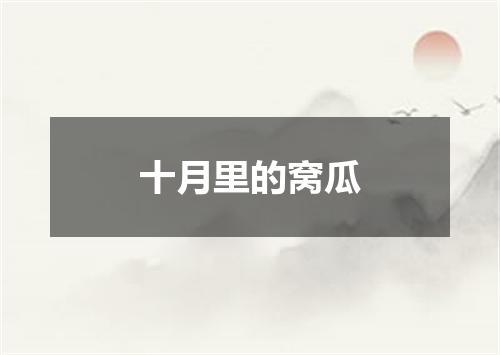 十月里的窝瓜