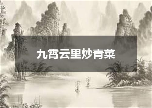 九霄云里炒青菜