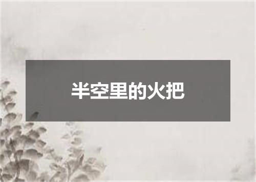 半空里的火把
