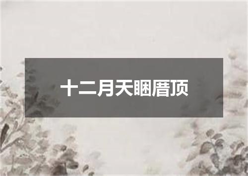 十二月天睏厝顶