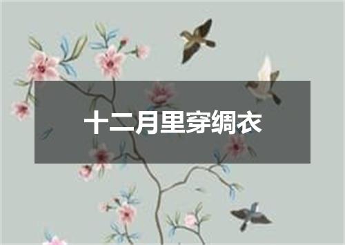 十二月里穿绸衣
