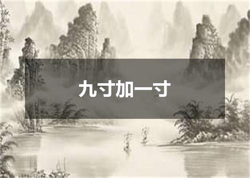 九寸加一寸