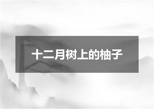 十二月树上的柚子