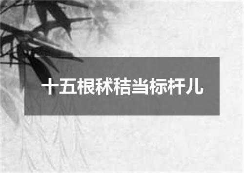 十五根秫秸当标杆儿