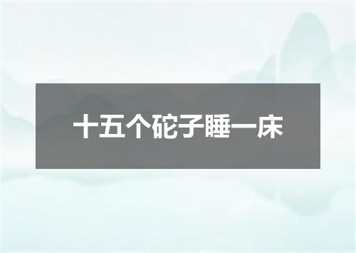 十五个砣子睡一床
