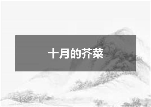 十月的芥菜