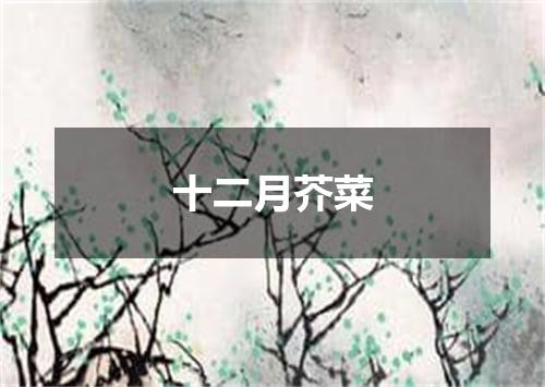 十二月芥菜