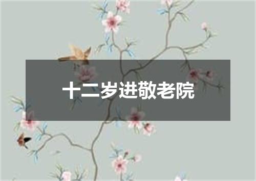 十二岁进敬老院