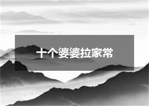 十个婆婆拉家常