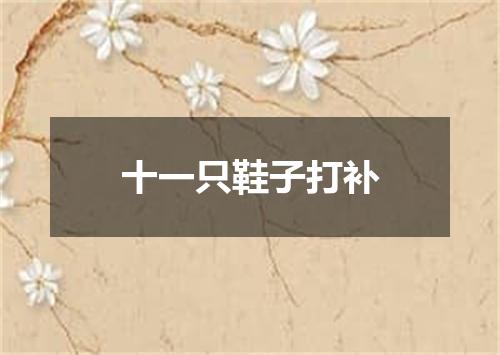 十一只鞋子打补