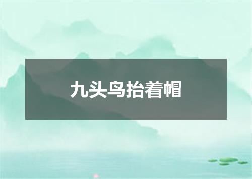 九头鸟抬着帽