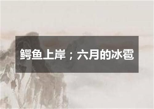 鳄鱼上岸；六月的冰雹