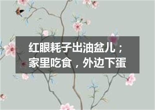 红眼耗子出油盆儿；家里吃食，外边下蛋