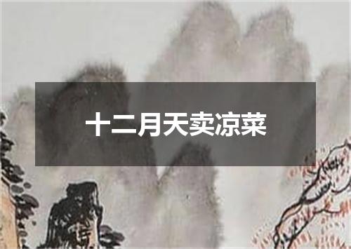 十二月天卖凉菜