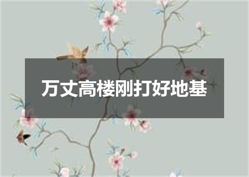 万丈高楼刚打好地基