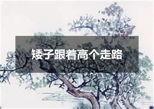 矮子跟着高个走路