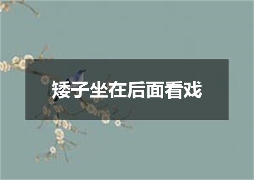 矮子坐在后面看戏