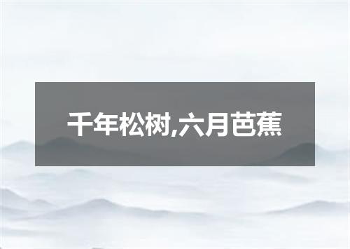 千年松树,六月芭蕉