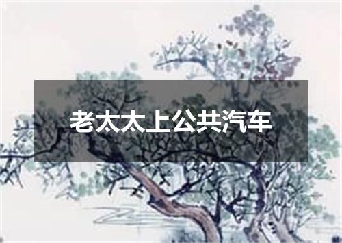 老太太上公共汽车