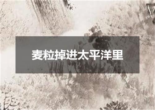麦粒掉进太平洋里