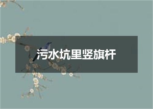 污水坑里竖旗杆