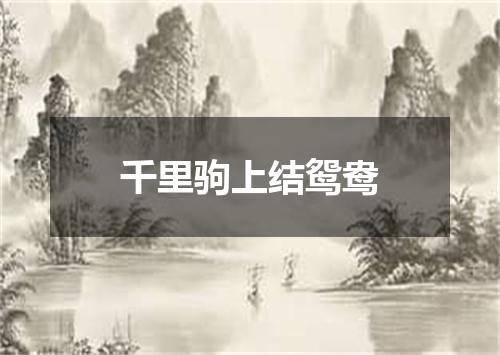 千里驹上结鸳鸯