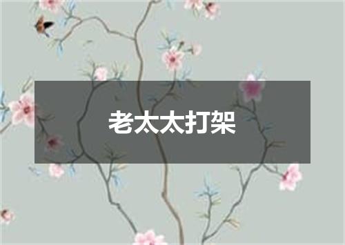 老太太打架
