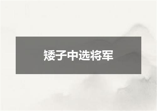 矮子中选将军