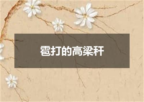 雹打的高梁秆