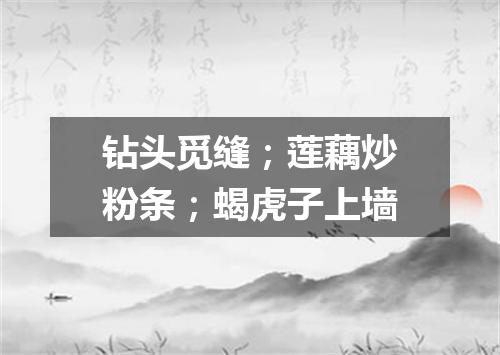 钻头觅缝；莲藕炒粉条；蝎虎子上墙