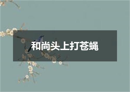 和尚头上打苍蝇
