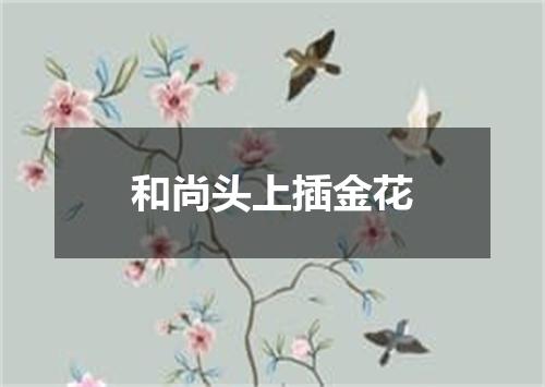 和尚头上插金花