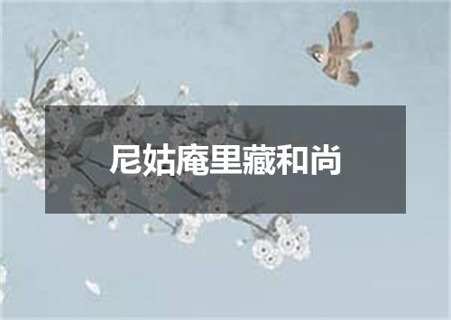 尼姑庵里藏和尚