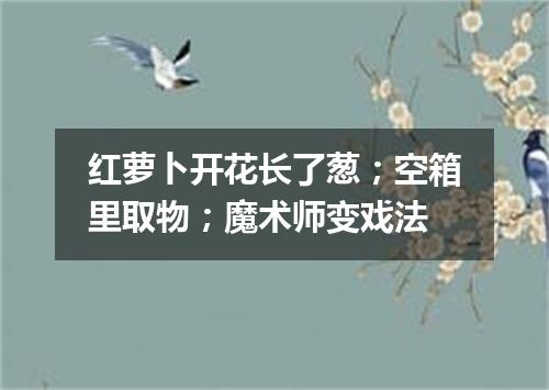 红萝卜开花长了葱；空箱里取物；魔术师变戏法