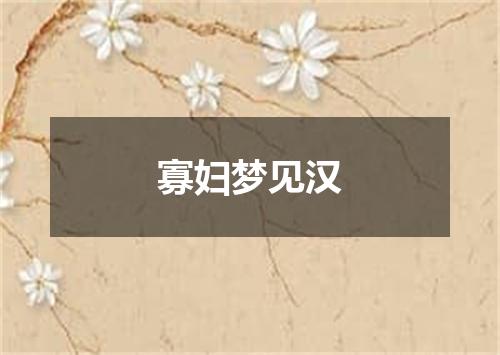 寡妇梦见汉